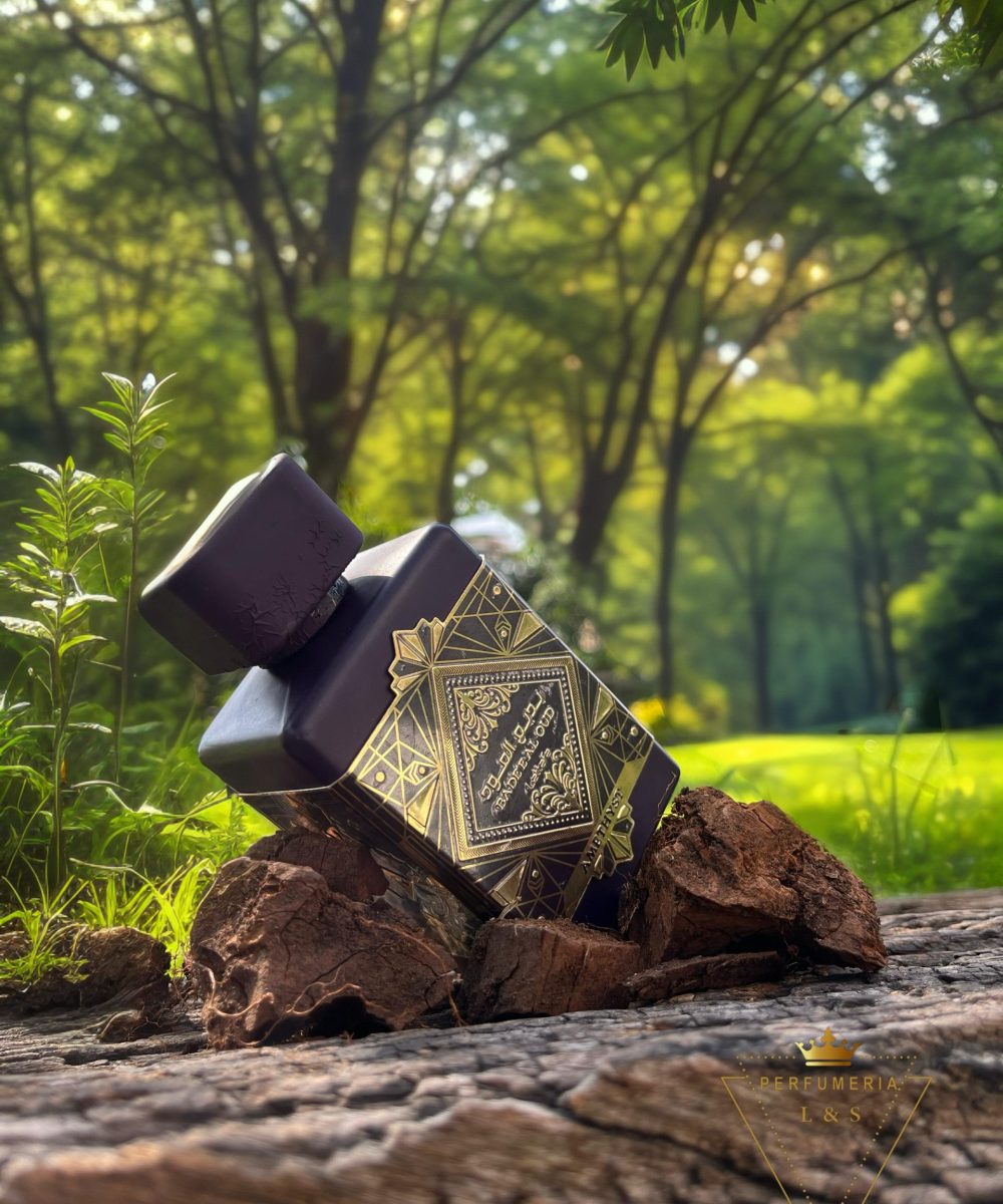 WhatsApp Image 2025-01-17 at 6.17.08 PM (1)