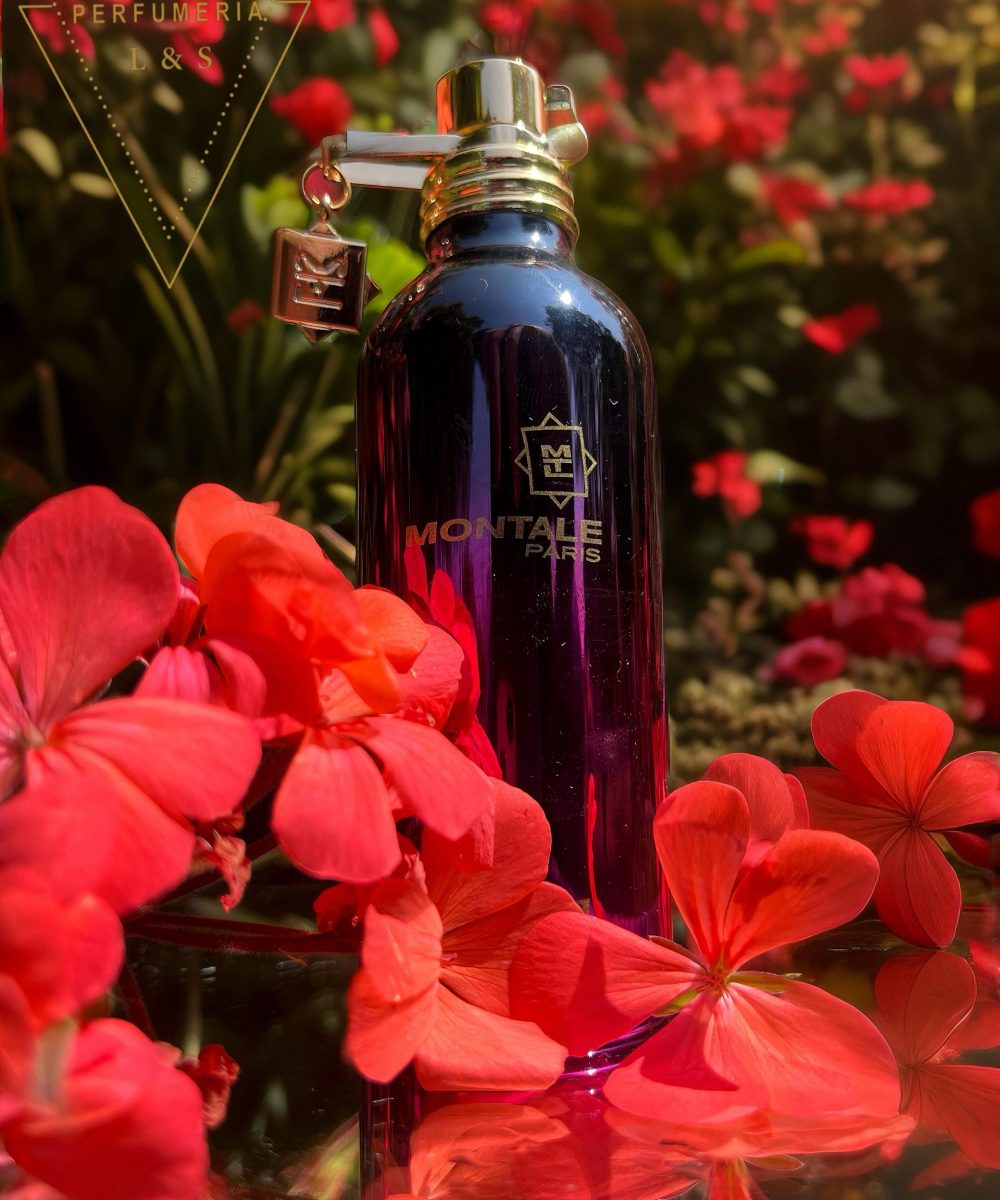 WhatsApp Image 2025-01-17 at 6.17.09 PM (1)