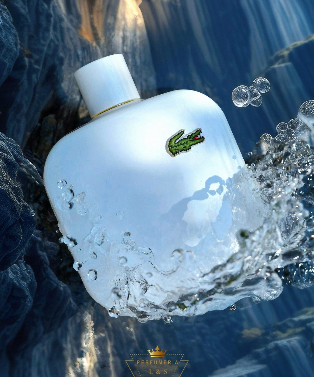 WhatsApp Image 2025-01-17 at 6.17.09 PM (2)